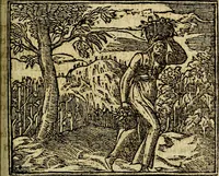 Picture 142 of 207 from Francisci Sanctii Brocensis .. (1573), leaf 420