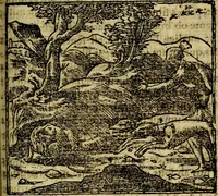 An illustration from Francisci Sanctii Brocensis .. (1573)