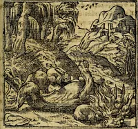 An illustration from Francisci Sanctii Brocensis .. (1573)