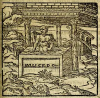 Picture 157 of 207 from Francisci Sanctii Brocensis .. (1573), leaf 450