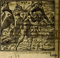 An illustration from Francisci Sanctii Brocensis .. (1573)