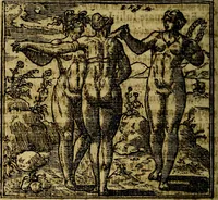 Picture 161 of 207 from Francisci Sanctii Brocensis .. (1573), leaf 465