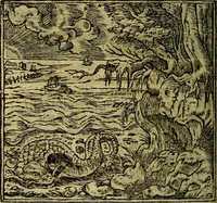 Picture 165 of 207 from Francisci Sanctii Brocensis .. (1573), leaf 473