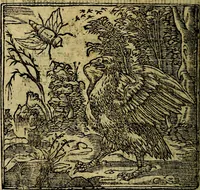 An illustration from Francisci Sanctii Brocensis .. (1573)