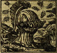 Picture 176 of 207 from Francisci Sanctii Brocensis .. (1573), leaf 491