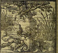 An illustration from Francisci Sanctii Brocensis .. (1573)