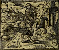 Picture 186 of 207 from Francisci Sanctii Brocensis .. (1573), leaf 523