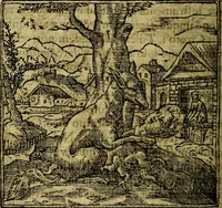 An illustration from Francisci Sanctii Brocensis .. (1573)