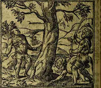 An illustration from Francisci Sanctii Brocensis .. (1573)