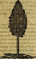 Picture 195 of 207 from Francisci Sanctii Brocensis .. (1573), leaf 546