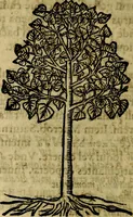 Picture 207 of 207 from Francisci Sanctii Brocensis .. (1573), leaf 565