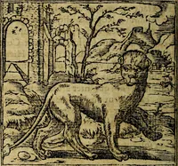 An illustration from Francisci Sanctii Brocensis .. (1573)