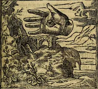 Picture 18 of 207 from Francisci Sanctii Brocensis .. (1573), leaf 84