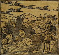 Picture 19 of 207 from Francisci Sanctii Brocensis .. (1573), leaf 88