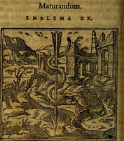 Picture 22 of 207 from Francisci Sanctii Brocensis .. (1573), leaf 99