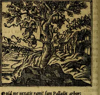 An illustration from Francisci Sanctii Brocensis .. (1573)