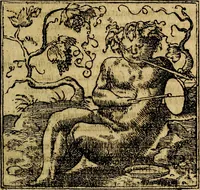 Picture 28 of 202 from Francisci Sanctii Brocensis .. (1573), leaf 108
