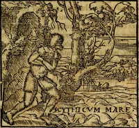 Picture 40 of 202 from Francisci Sanctii Brocensis .. (1573), leaf 160