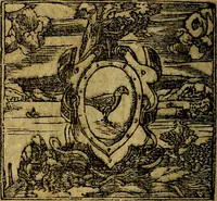 Picture 49 of 202 from Francisci Sanctii Brocensis .. (1573), leaf 187