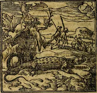 An illustration from Francisci Sanctii Brocensis .. (1573)