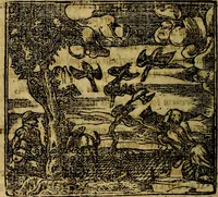 An illustration from Francisci Sanctii Brocensis .. (1573)