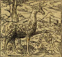 Picture 6 of 202 from Francisci Sanctii Brocensis .. (1573), leaf 22