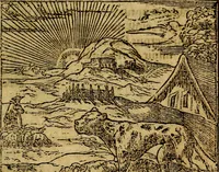 Picture 67 of 202 from Francisci Sanctii Brocensis .. (1573), leaf 224