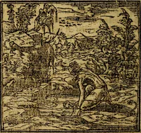 Picture 70 of 202 from Francisci Sanctii Brocensis .. (1573), leaf 233