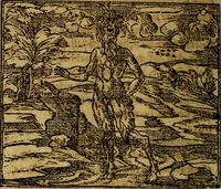 Picture 73 of 202 from Francisci Sanctii Brocensis .. (1573), leaf 241