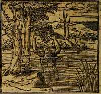 An illustration from Francisci Sanctii Brocensis .. (1573)