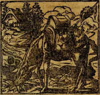 Picture 85 of 202 from Francisci Sanctii Brocensis .. (1573), leaf 272