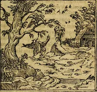 Picture 92 of 202 from Francisci Sanctii Brocensis .. (1573), leaf 290