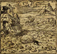 An illustration from Francisci Sanctii Brocensis .. (1573)