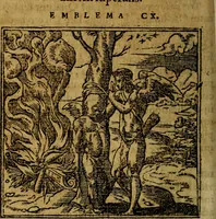 An illustration from Francisci Sanctii Brocensis .. (1573)