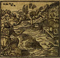 An illustration from Francisci Sanctii Brocensis .. (1573)
