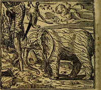 An illustration from Francisci Sanctii Brocensis .. (1573)