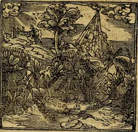 Picture 121 of 202 from Francisci Sanctii Brocensis .. (1573), leaf 376