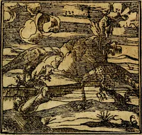 Picture 122 of 202 from Francisci Sanctii Brocensis .. (1573), leaf 382