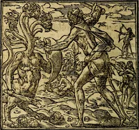 An illustration from Francisci Sanctii Brocensis .. (1573)