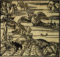 An illustration from Francisci Sanctii Brocensis .. (1573)