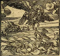 Picture 135 of 202 from Francisci Sanctii Brocensis .. (1573), leaf 414