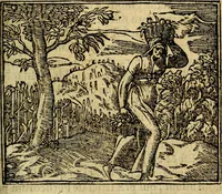 An illustration from Francisci Sanctii Brocensis .. (1573)