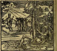 An illustration from Francisci Sanctii Brocensis .. (1573)