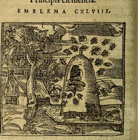 Picture 142 of 202 from Francisci Sanctii Brocensis .. (1573), leaf 429