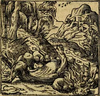 An illustration from Francisci Sanctii Brocensis .. (1573)