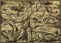 Picture 147 of 202 from Francisci Sanctii Brocensis .. (1573), leaf 442