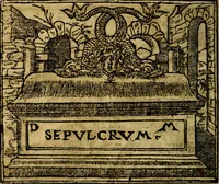 Picture 149 of 202 from Francisci Sanctii Brocensis .. (1573), leaf 445