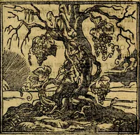 An illustration from Francisci Sanctii Brocensis .. (1573)