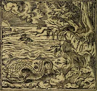 Picture 158 of 202 from Francisci Sanctii Brocensis .. (1573), leaf 469