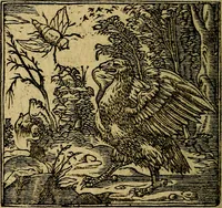 An illustration from Francisci Sanctii Brocensis .. (1573)